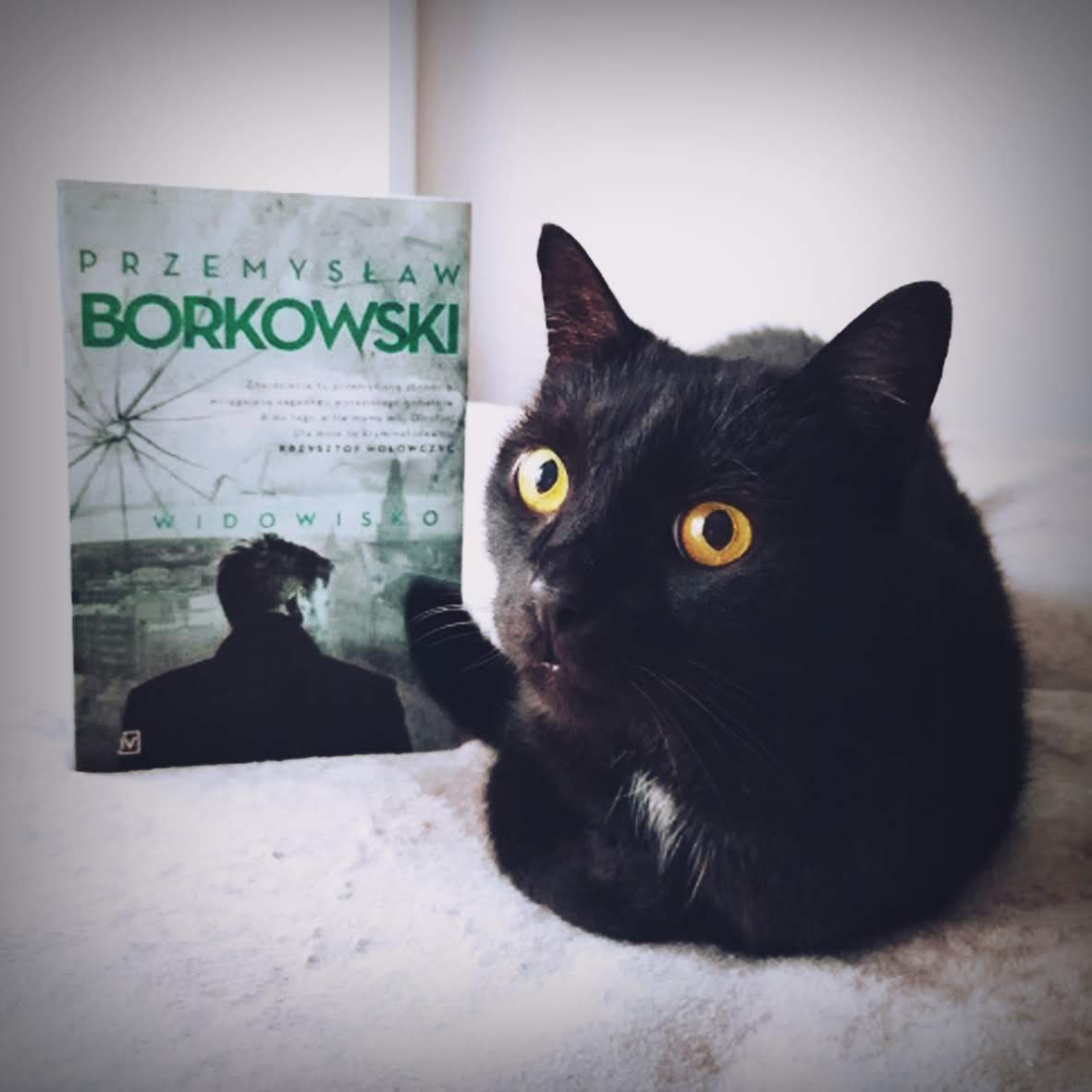 widowisko
