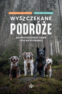 Wyszczekane podróże. Jak przygotować siebie i psa na wyprawę?