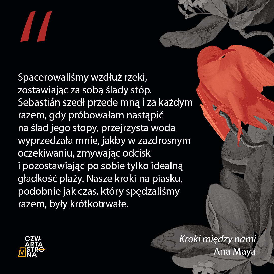 b7_kroki-miedzy-nami_1080x1080