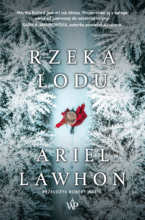 Rzeka lodu